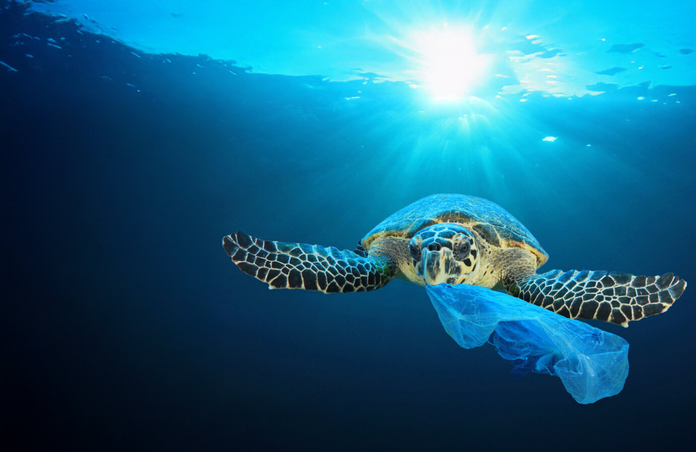 Progetto Water Defenders Alliance