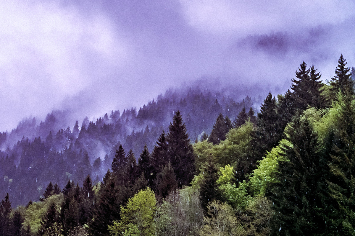 Cosa c’è in Agenda 2030: ambiente, ma non solo.