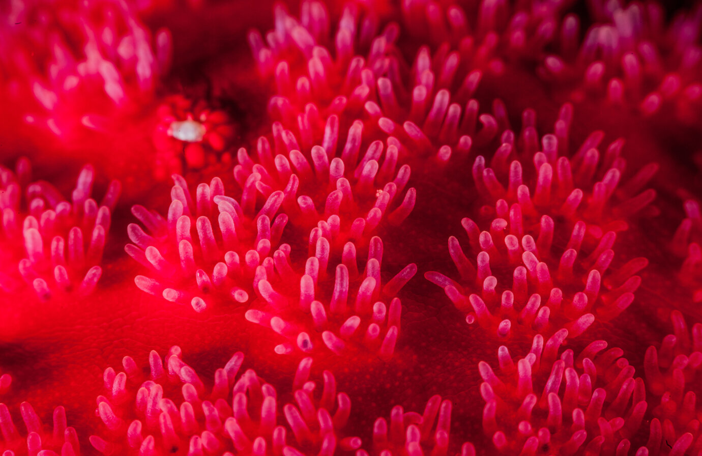 Dall’Africa all’Artico, viaggiamo tra gli ecosistemi in perfetto equilibrio