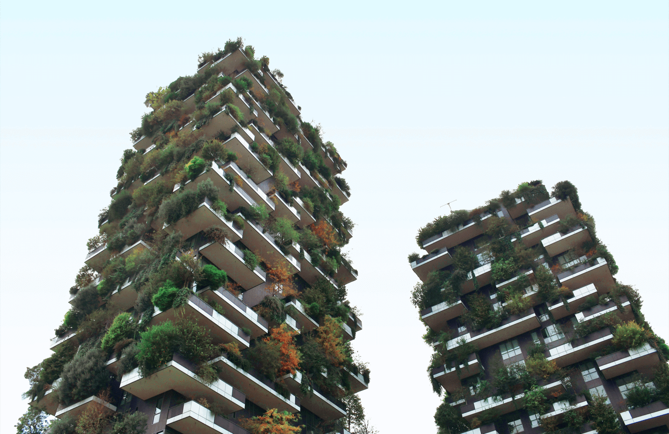 Non solo Milano. Tre boschi verticali nel mondo che non conoscevi