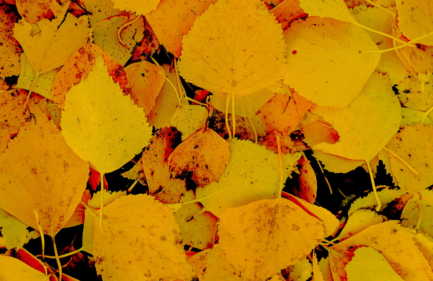 Rendimento energetico in sette step