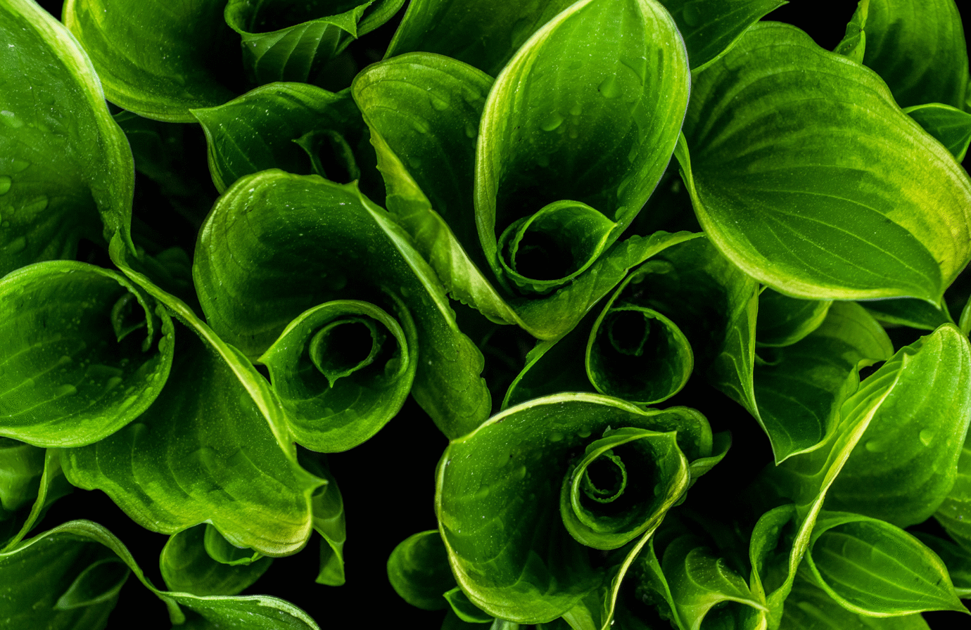 Ama l'ambiente in 10 modi diversi