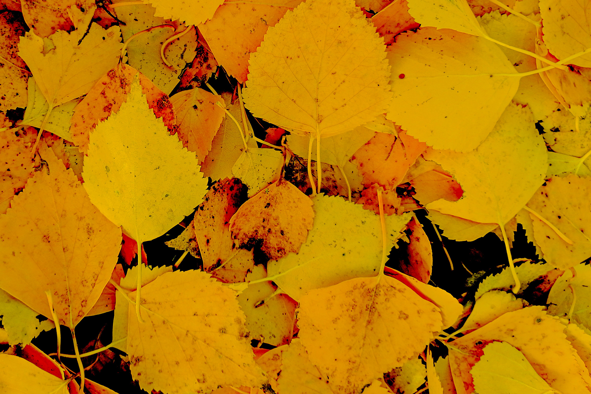 Rendimento energetico in sette step