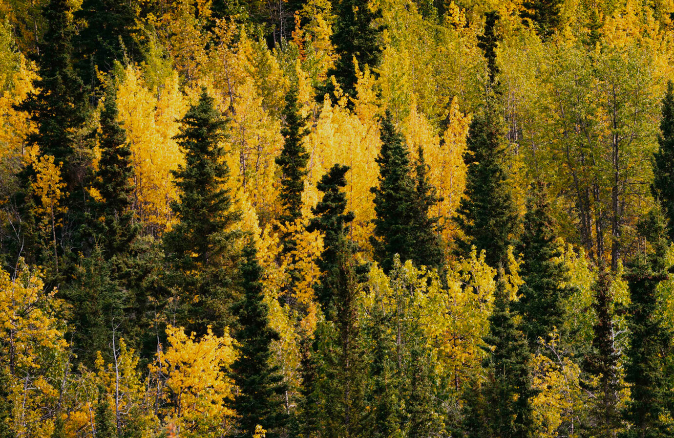 Biodiversità: la ricchezza del nostro pianeta