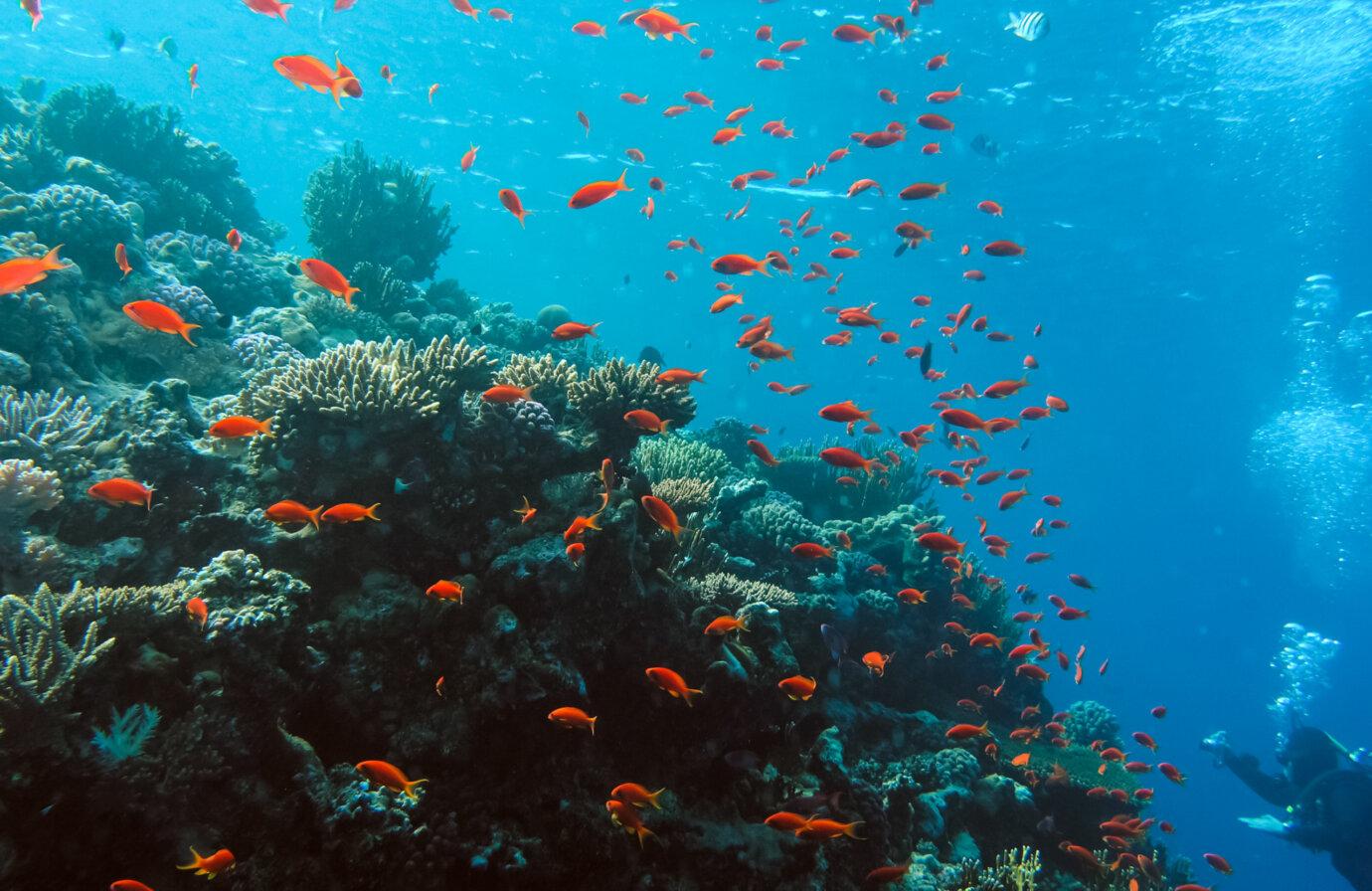 Giornata mondiale degli oceani: uno stimolo per cambiare!