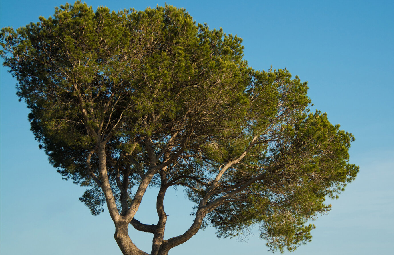 L’amore per l’Italia, un progetto alla volta