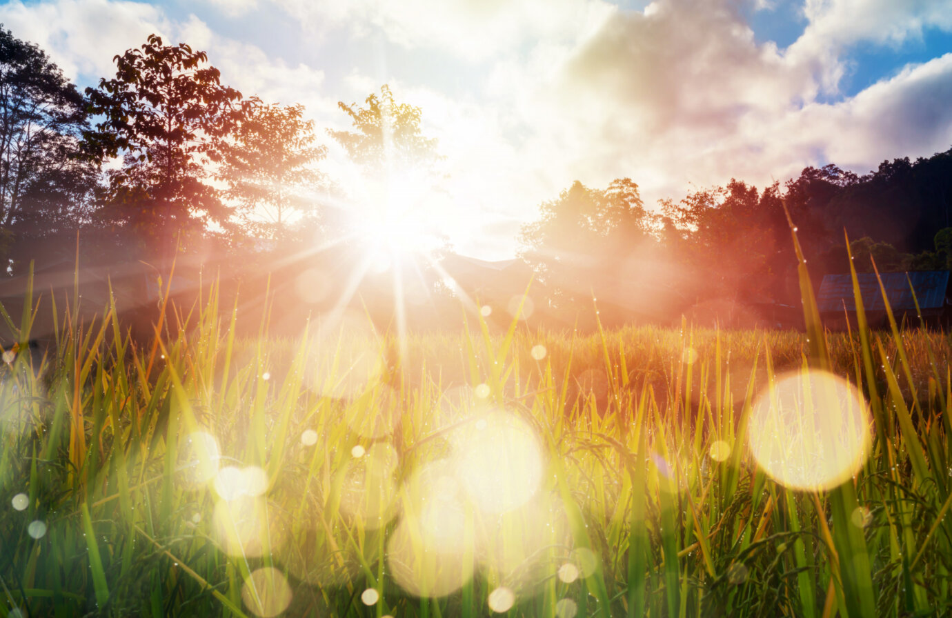 LA GIORNATA INTERNAZIONALE DELLA LUCE