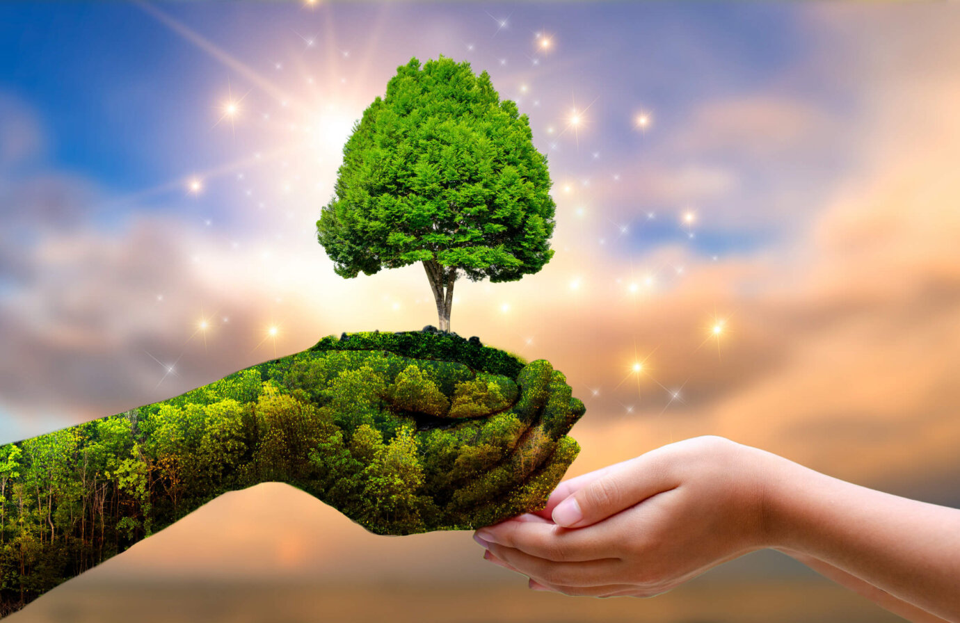 GUINNESS WORLD RECORDS DAY E SOSTENIBILITÀ