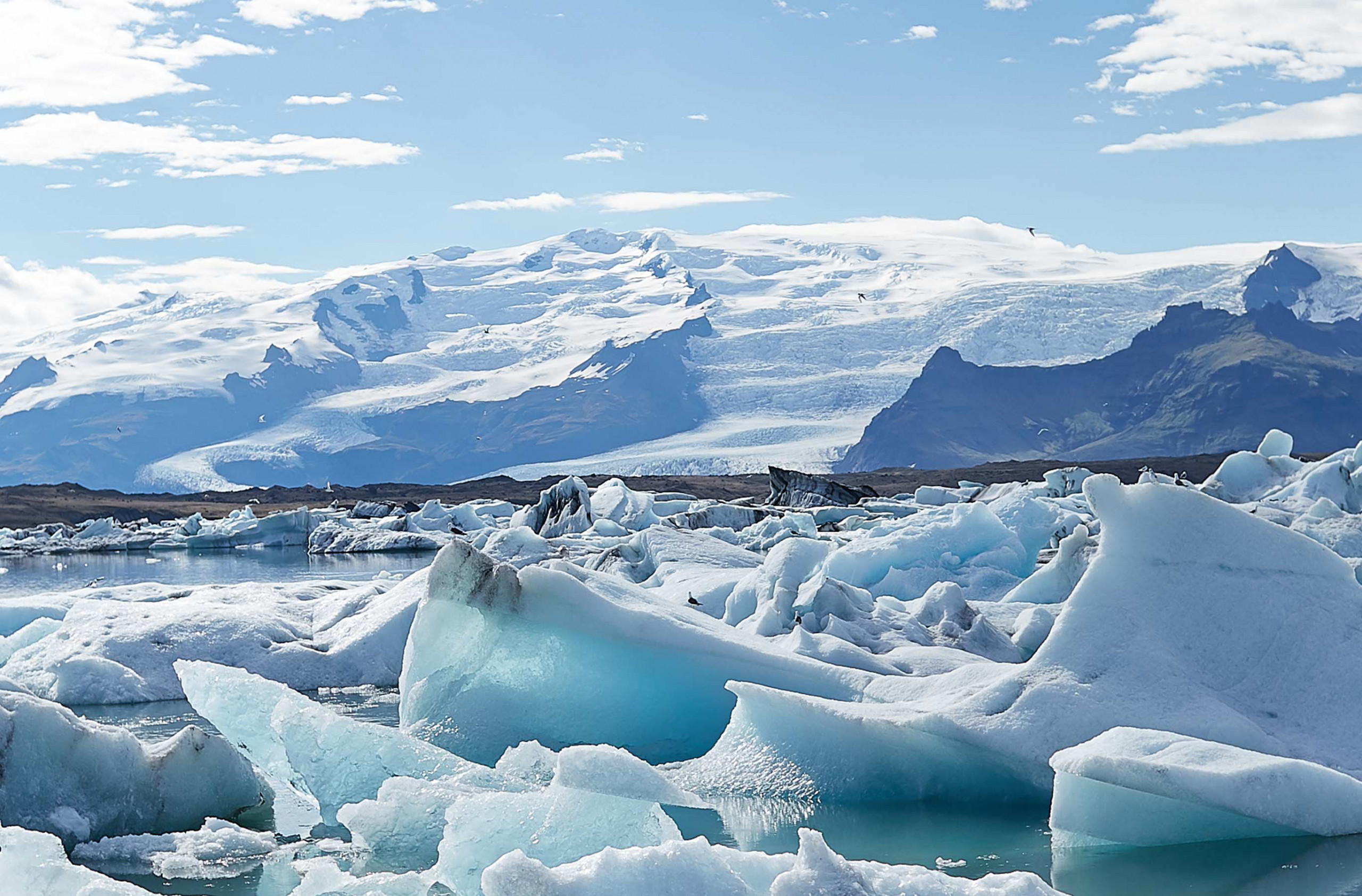 I ghiacciai dell’Artico: preveniamo la loro scomparsa