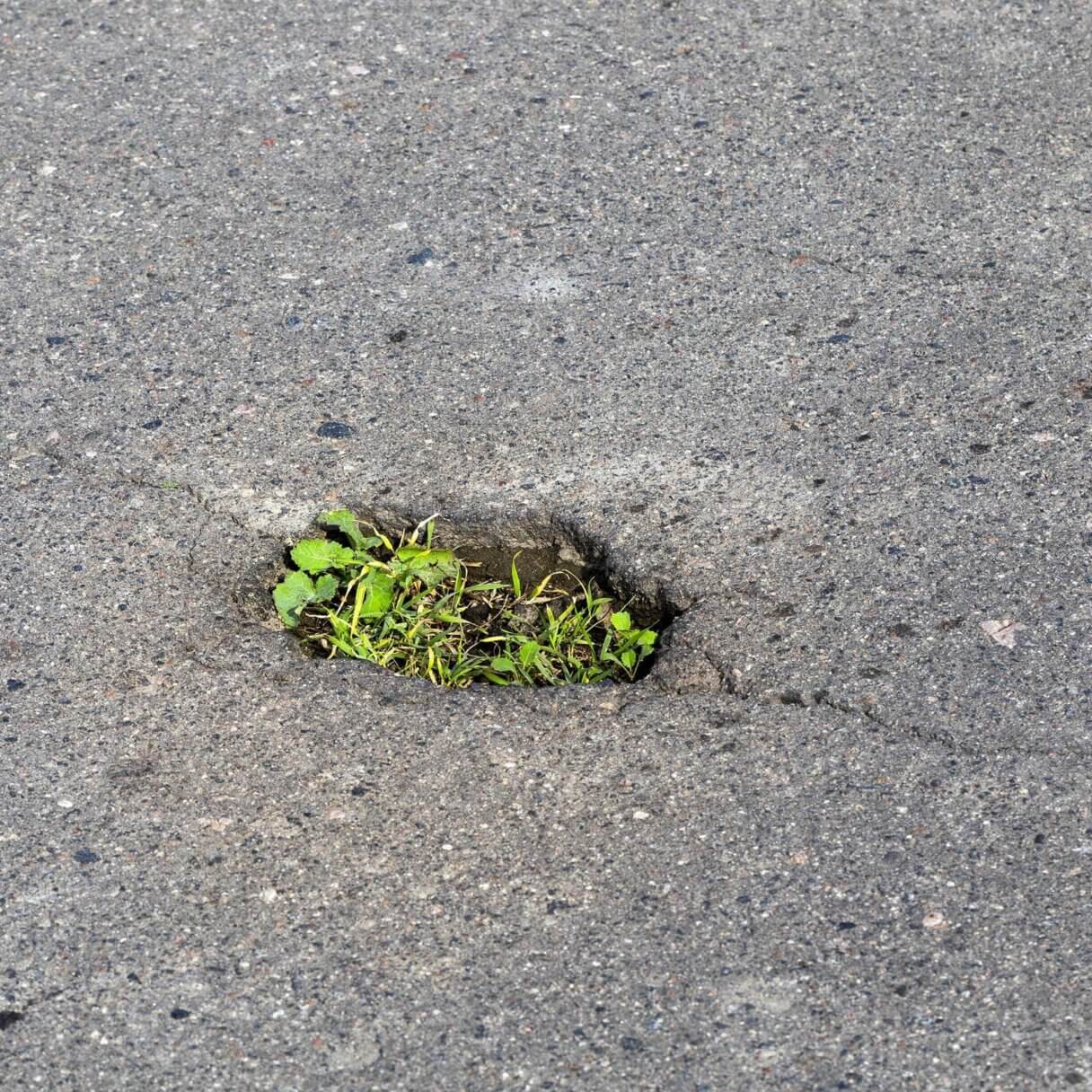 La natura oltre l’asfalto