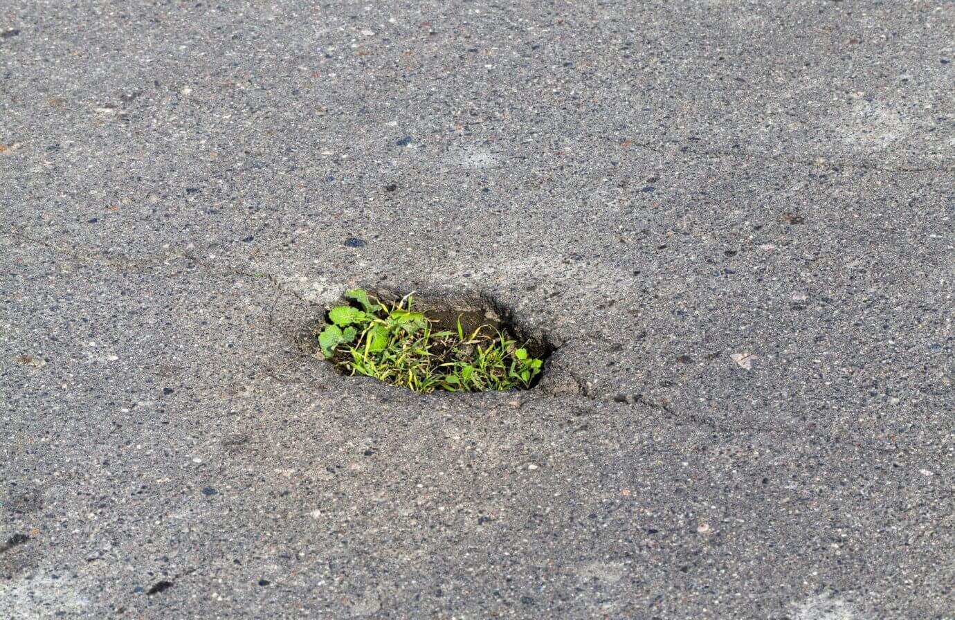 La natura oltre l’asfalto