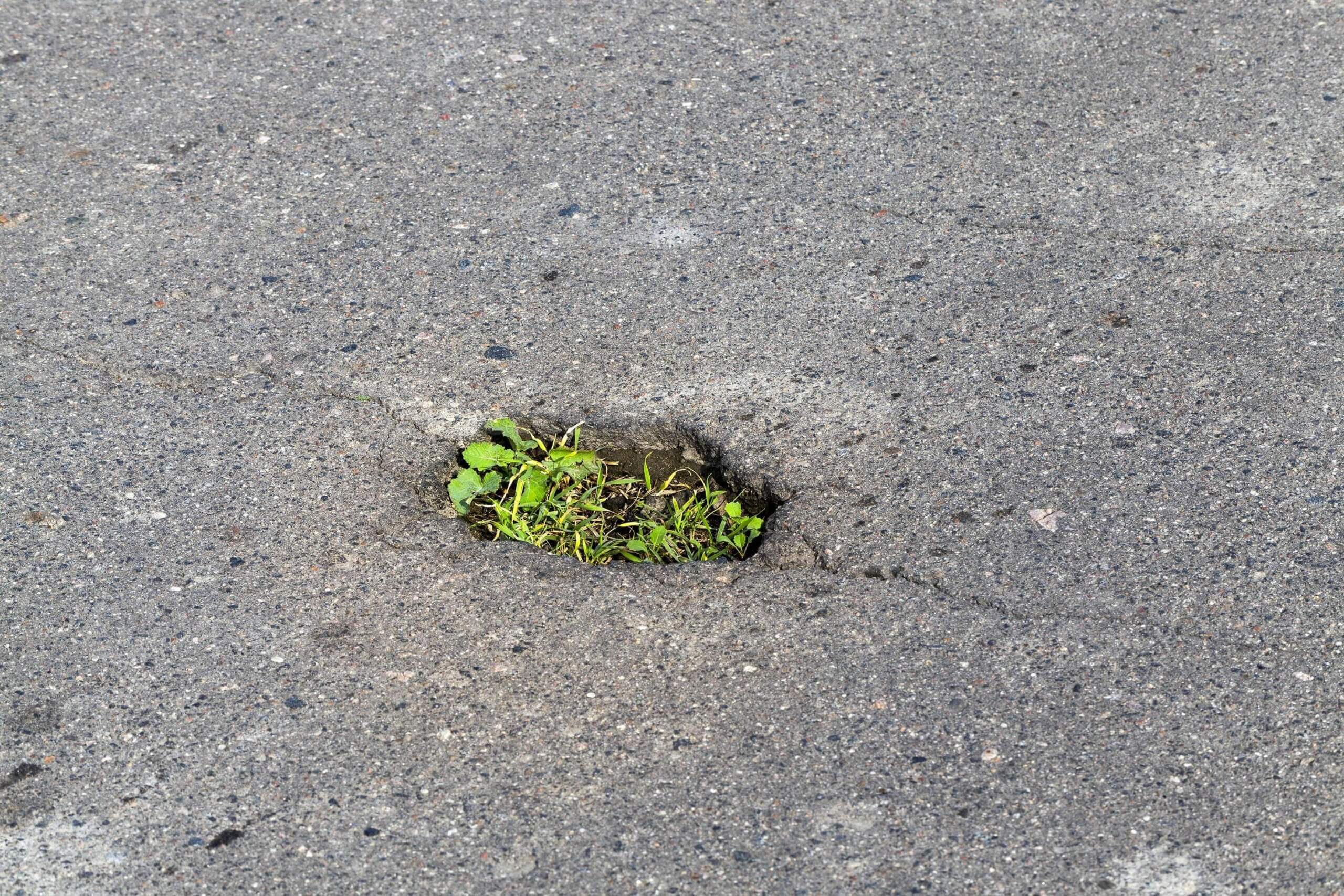 La natura oltre l’asfalto